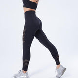 Loyally Elegant Black / S Knit Sculpting High-Rise Push Up Legging