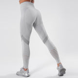 Loyally Elegant fitness leggings Gray / M Mesh Breathable Push Up Leggings