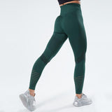 Loyally Elegant fitness leggings Green / M Mesh Breathable Push Up Leggings