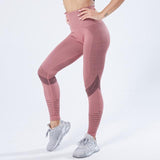 Loyally Elegant fitness leggings Pink / M Mesh Breathable Push Up Leggings