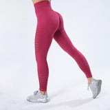 Loyally Elegant Wine / S Knit Sculpting High-Rise Push Up Legging